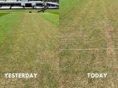 एक ही दिन में बदल गई ओवल की पिच की सूरत, दिनेश कार्तिक ने तस्वीरें शेयर कर खोला राज़