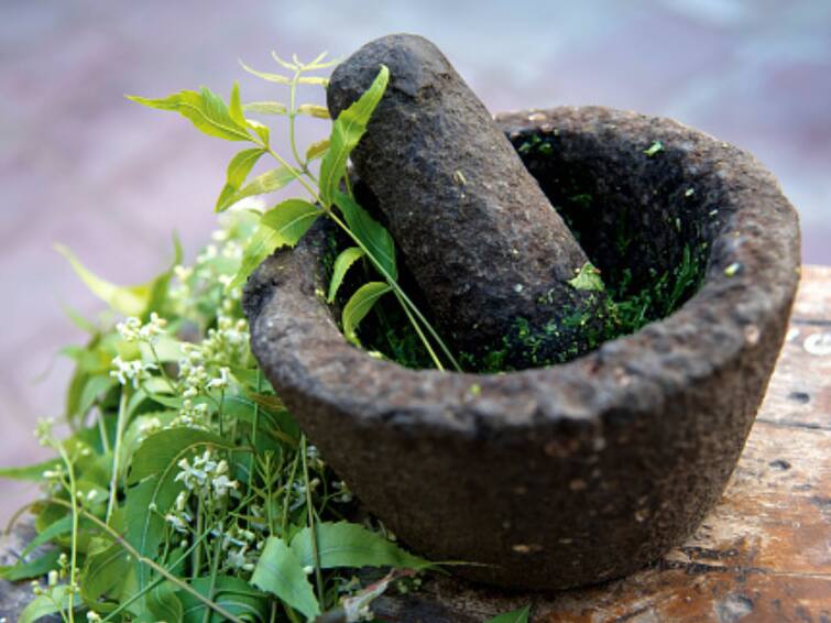 Know The Role Of Ayurvedic Herbs To Treat Infertility Know The Role Of Ayurvedic Herbs To Treat Infertility