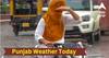 Punjab Weather Today : ਪੰਜਾਬ 'ਚ ਦੇਖਿਆ ਗਿਆ ਵੈਸਟਰਨ ਡਿਸਟਰਬੈਂਸ ਦਾ ਅਸਰ, ਮੀਂਹ ਦੇ ਨਾਲ ਪਏ ਗੜੇ, 9 ਜੂਨ ਤੋਂ ਫਿਰ ਵਧੇਗੀ ਗਰਮੀ