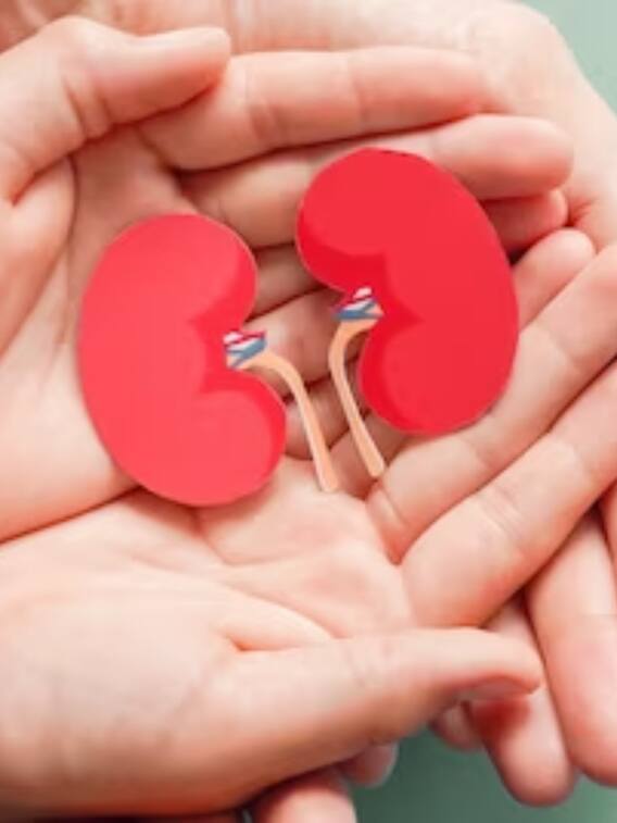 ये है किडनी खराब होने की 6 सबसे बड़ी वजह