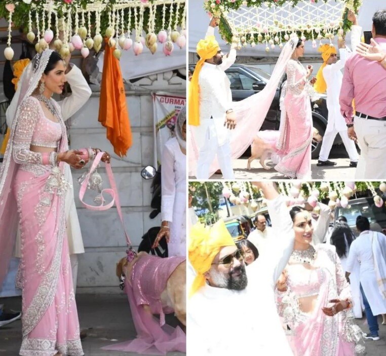 Sonnalli Seygall Wedding: दुल्हन बनीं सोनाली सहगल का ऐसा था लुक, दोस्त कार्तिक आर्यन-सनी सिंह भी शादी में हुए शामिल