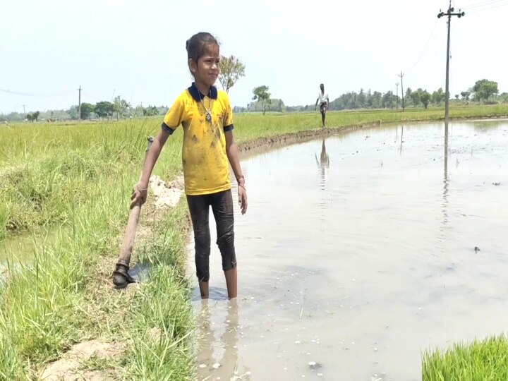 செல்போனுக்கு ’குட் பாய்’..... வயல் வெளியில் களம் கண்ட பேரக் குழந்தைகள்! மயிலாடுதுறை சுவாரஸ்யம்!