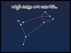Ashwini Nakshatra : ఈ నక్షత్రంలో జన్మించిన వారికి తెలివితేటలు, నాయకత్వ లక్షణాలు అధికంగా ఉంటాయి!