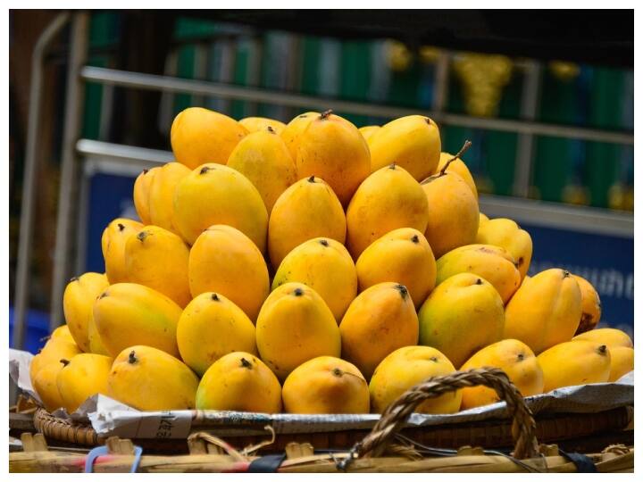 overeating mango can be harmful for health know right time and method of eating mango Mango Overeating: टेस्ट के चक्कर में ज्यादा ना खाएं आम... कुछ ज्यादा ही पसंद है तो ऐसे खाएं!