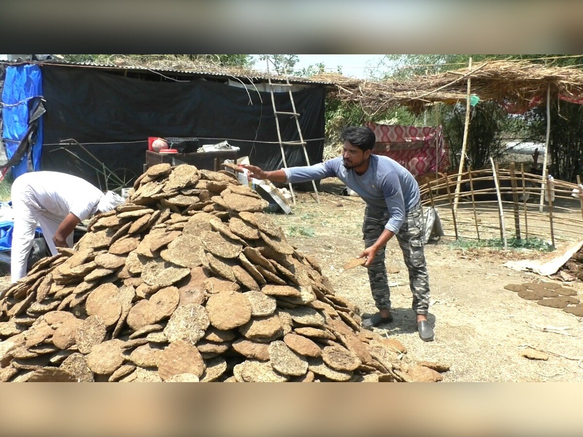 Agriculture News : शेणापासून गोवऱ्या तयार करुन पाडली उत्पन्नात भर, वर्ध्यातील अल्पभूधारक शेतकऱ्याचा उपक्रम