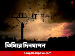 ৬৭ কোটি মানুষের ঘরে বিদ্যুৎ নেই এখনও, বিষাক্ত জ্বালানিতে বার্ষিক ৩২ লক্ষ মৃত্যু, সঙ্কট বিশ্ব জুড়ে