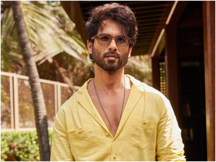 Shahid Kapoor's Concept Of Marriage Outrages The Internet పెళ్లిపై వివాదాస్పద వ్యాఖ్యలు చేసిన షాహిద్ కపూర్ - ఫైర్ అవుతున్న నెటిజన్లు!