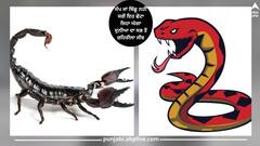 ਸੱਪ ਜਾਂ ਬਿੱਛੂ ਨਹੀਂ ਸਗੋਂ ਇਹ ਛੋਟਾ ਜਿਹਾ ਘੋਗਾ ਦੁਨੀਆ ਦਾ ਸਭ ਤੋਂ ਜ਼ਹਿਰੀਲਾ ਜੀਵ, ਜ਼ਹਿਰ ਦੀ ਅੱਜ ਤੱਕ ਨਹੀਂ ਲੱਭ ਸਕੀ ਕਾਟ