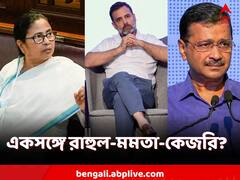 পাটনায় বিজেপি বিরোধী মঞ্চে পাশাপাশি রাহুল-মমতা? থাকবেন কেজরিও? বাড়ছে জল্পনা