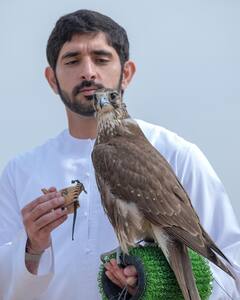 આવું વૈભવી જીવન જીવે છે દુબઈના ક્રાઉન પ્રિન્સ Fazza, તસવીરોમાં જુઓ લક્ઝરી લાઈફ