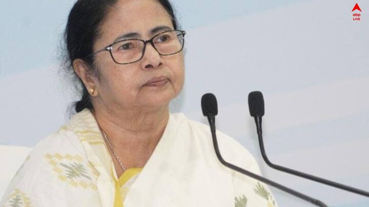 মূলত এদিন নবান্ন থেকে ভার্চুয়ালি কেষ্টপুর সেতু ২ উদ্বোধন করেন মমতা। পোস্টের শুরুতেই তিনি বলেন, 'আজকে এই বিশেষ দিনে আমি নবান্নর সভাঘর থেকে, কেষ্টপুর সেতু ২ উদ্বোধন করলাম।যা সল্টলেক এবং নিউটাউনের মধ্যে যোগাযোগ রক্ষা করবে।'