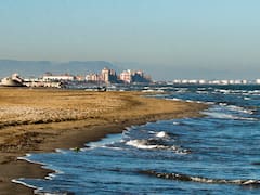 World Oceans Day 2023: History, Significance And All That You Need To Know