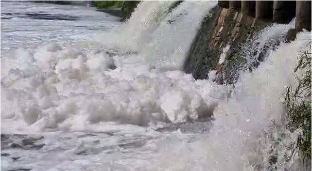 इंद्रायणी नदीत आज पुन्हा फेसाळ पाणी वाहतंय, जे वारकऱ्यांच्या आरोग्याला धोका ठरत आहे.