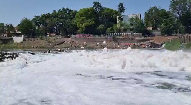 त्यामुळे पालखी प्रस्थानाची वेळ आली असतानाच इंद्रायणी नदीत पुन्हा फेसाळ पाणी पाहायला मिळत आहे