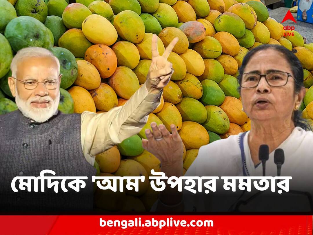 Chief Minister Mamata Banerjee Sends Bengal's Top Varieties Of Mangoes To PM Narendra Modi, President Mamata Banerjee : রাজনৈতিক দ্বন্দ্ব সরিয়ে মোদিকে উপহার পাঠালেন মমতা, বাংলার আম গেল রাষ্ট্রপতির কাছেও