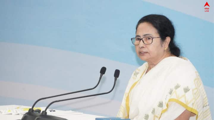 এদিন তিনি বলেন, 'আজ আমার প্রিয় বাংলা এবং প্রাণাধিক প্রিয় বঙ্গবাসীর জন্য একটি অবিস্মরণীয় দিন।আজ এক বিশেষ কর্মসূচির ঘোষণা করলাম।'