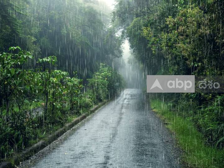 Monsoon 2023 Finally Reaches Kerala A Week Later Southwest rains in Telugu states after a week Monsoon 2023: కేరళను తాకిన రుతుపవనాలు- వారం రోజుల్లో తెలుగు రాష్ట్రాల్లో నైరుతి వానలు 