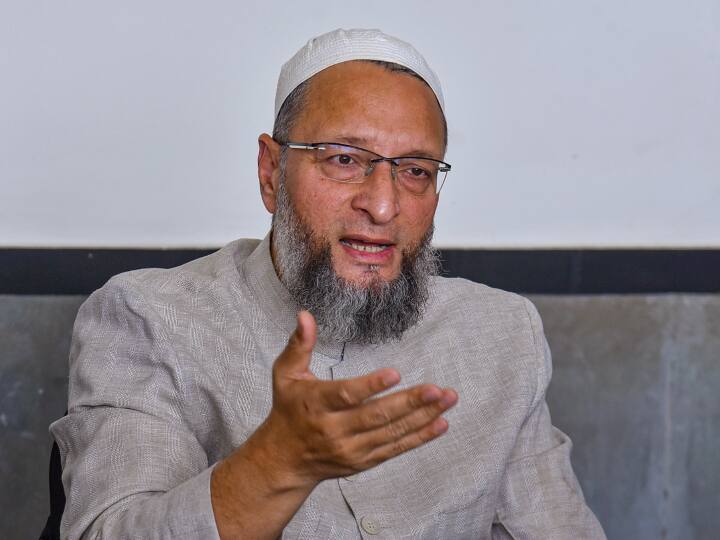 Asaduddin Owaisi Reacts On S Jaishankar Remark Over Afghanistan Sikh community Issue AIMIM Leader Slams CAA Asaduddin Owaisi On CAA: सीएए का विदेश मंत्री एस जयशंकर ने छेड़ा जिक्र तो क्या बोले असदुद्दीन ओवैसी?