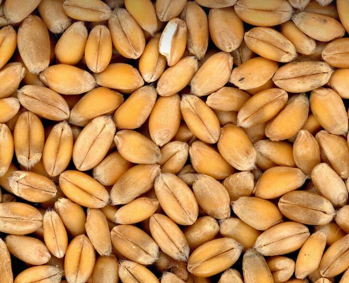 মুখরোচক হিসেবে সঙ্গে রাখা যেতে পারে বাদাম, বিভিন্ন ধরনের বীজও।