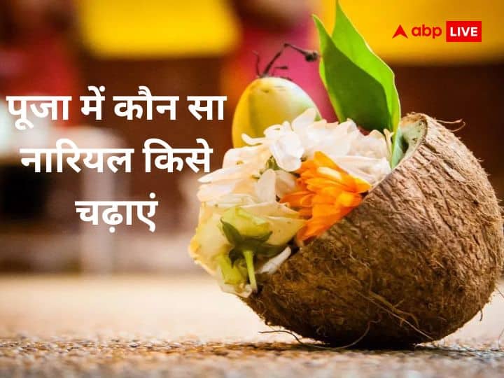 Nariyal importance in Hinduism know coconut is offered to which deity हिंदू धर्म में नारियल का क्या है महत्व, जानें कौन सा नारियल कब और किस देवी-देवता पर चढ़ाएं