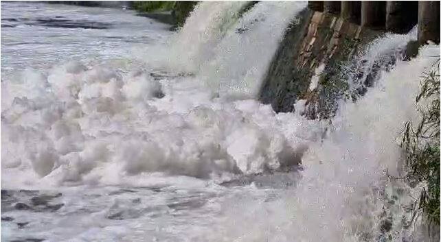 महाराष्ट्र प्रदूषण नियंत्रण मंडळाचा कानाडोळा याला कारणीभूत ठरत आहे.