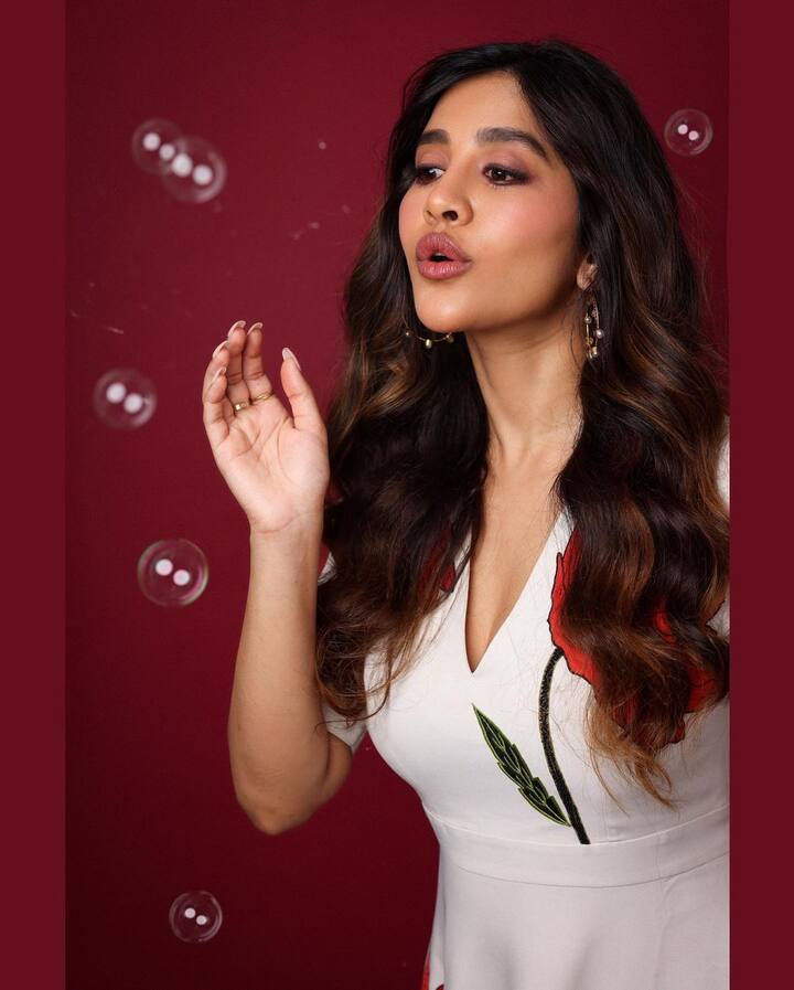 నితిన్ మేస్ట్రో సినిమా తర్వాత నభా సినిమాల్లోనే నటించలేదు. Image Credit: Nabha Natesh/ Instagram