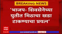 Shrikant Shinde : भाजप - शिवसेनेच्या युतीत मिठाचा खडा टाकण्याचा प्रयत्न, कोणत्याही पदाची लालसा नाही