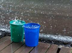 Vastu Tips: વરસાદનું પાણી પણ દૂર કરી શકે છે આર્થિક તંગી, જાણો ઉપાય