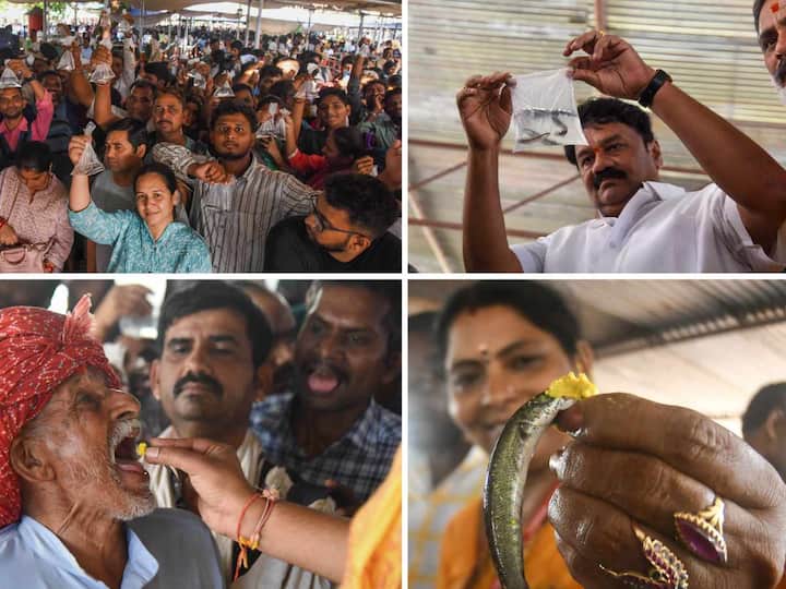Returning after a hiatus of three years to Hyderabad's Exhibition Grounds, the 'fish prasadam' distribution commenced on Friday.