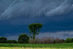 Photo : पुढील तीन दिवस राज्यातील या भागात पावसाची शक्यता