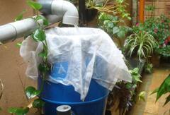 Vastu Tips: વરસાદનું પાણી પણ દૂર કરી શકે છે આર્થિક તંગી, જાણો ઉપાય