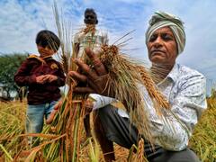 किसानों को प्रधानमंत्री फसल बीमा राशि का भुगतान इसी महीने, इस जिले के किसानों को मिलेगा सबसे अधिक पैसा