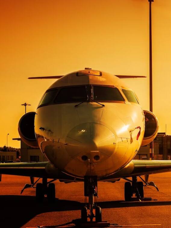 हवाई जहाज के इंजन पर मुर्गे क्यों फेंके जाते हैं?