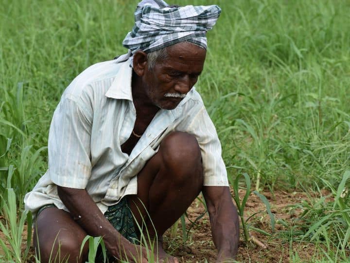Big update on PM Kisan Samman Nidhi 14th installment come on this date पीएम किसान सम्मान निधि पर बड़ा अपडेट, इस तारीख को आएगी 14वीं किस्त...इन्हें मिलेगा 10 हजार