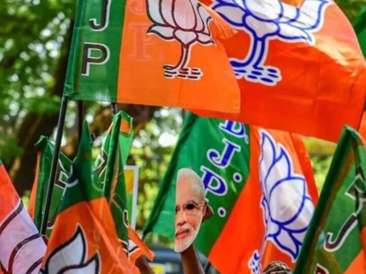 loksabha election 2024 bjp to contest 30 lok sabha seats 10 for nda allies Bihar: बिहारमध्ये भाजपचं ठरलं, लोकसभेच्या 30 जागा लढणार, 10 मित्रपक्षांसाठी; महाराष्ट्रात शिंदे गटाला काय मिळणार?