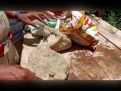 Whale Vomit : सिंधुदुर्गात मच्छीमारांना सापडली  देवमाशाची उलटी, आंतरराष्ट्रीय बाजारपेठेत आठ कोटीचा भाव