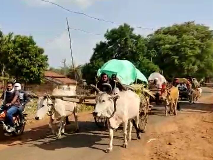 groom set out to bring the bride riding on a bullock cart discussion of this marriage is happening in Chhattisgarh ann Chhattisgarh News: बैलगाड़ी पर होकर सवार दुल्हन को लाने निकला दूल्हा, छत्तीसगढ़ में हो रही इस शादी की चर्चा