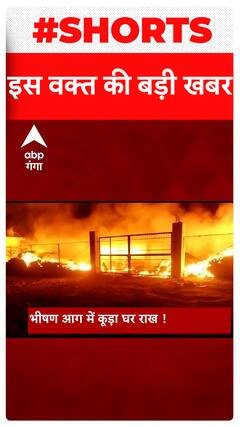 Headlines : एक क्लिक में देखें रात 10 बजे की सुर्खियां | Top News | Hindi News