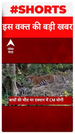 Headlines : एक क्लिक में देखें शाम 7 बजे की सुर्खियां | Latest News | Hindi News