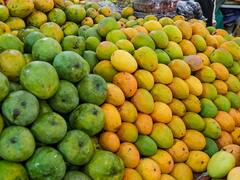 आम के दीवानों के लिए शुरू त्योहार, उदयपुर में होगा Mango Festival का आगाज, मिलेंगी 50 से ज्यादा वैरायटी