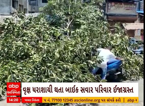 Cyclone Effect | વલસાડમાં ભારે પવનને કારણે વૃક્ષ ધરાશાયી, એક્ટિવા પર જતાં પરિવાર પર પડ્યું વૃક્ષ