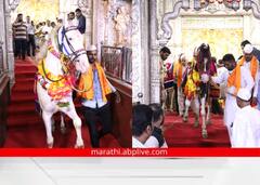 Ashadhi Wari 2023 :  श्रीमंत दगडूशेठ गणपती चरणी माऊलींचे अश्व नतमस्तक, पाहा फोटो...