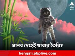 নিজের জন্য দেহেই খাবার তৈরি করতে পারবে মানুষ! 'কৃত্রিম সালোকসংশ্লেষ'-এর নয়া দিগন্ত