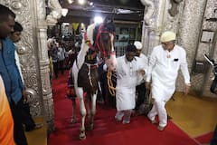 Ashadhi Wari 2023 :  श्रीमंत दगडूशेठ गणपती चरणी माऊलींचे अश्व नतमस्तक, पाहा फोटो...