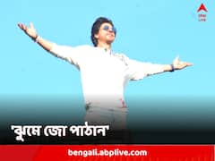 মন্নতে শাহরুখ-দর্শন, ব্যালকনিতেই 'ঝুমে জো পাঠান', উল্লাসে ফেটে পড়লেন অনুরাগীরা