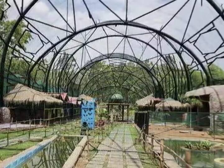 Chhattisgarh bird park bird sanctuary lamini park bastar ANN Bird