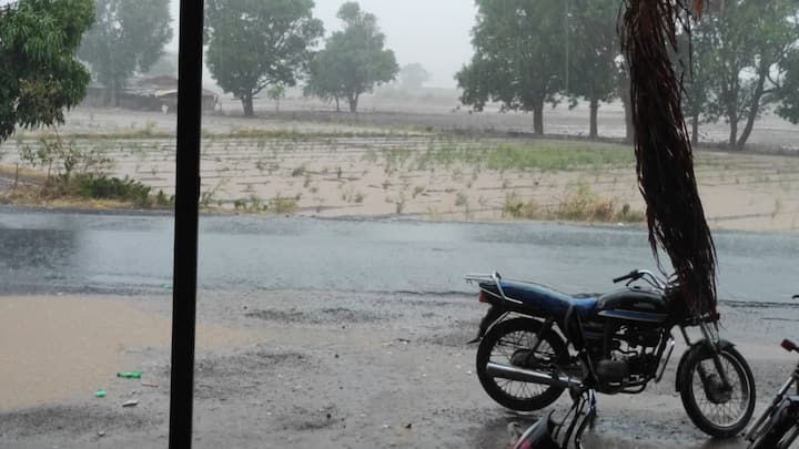 Nashik Rain Update : नाशिक शहरासह जिल्ह्यातील काही भागात सायंकाळी वादळी वाऱ्यासह पावसाने हजेरी लावली.