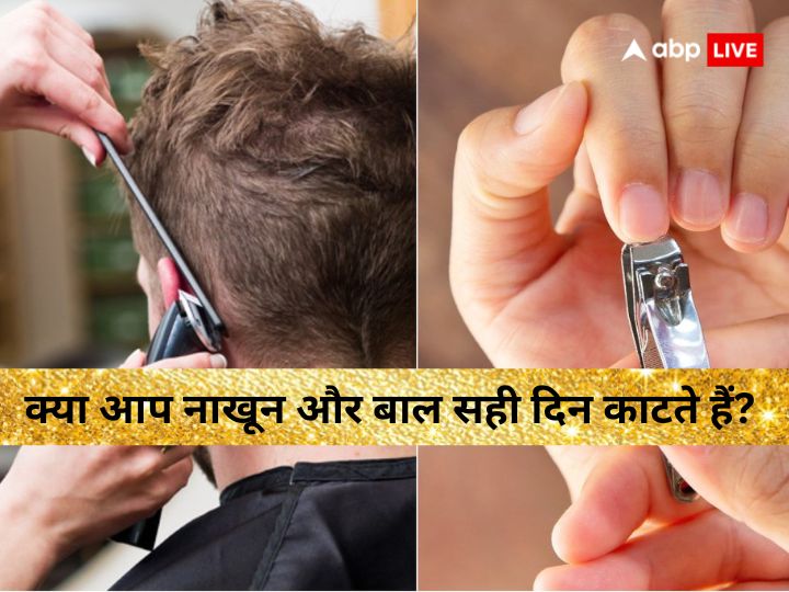 Hair Is Crown: हैंडसम लुक के लिए परफेक्ट ये Hairstyles, अब नया ट्रेंड  अपनाएं | These hairstyles for men will rule 2023Know more in hindi | TV9  Bharatvarsh