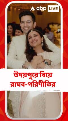 একটি ঘরের ভাড়া ২২ হাজার, উদয়পুরের বিলাসবহুল হোটেলে বিয়ে রাঘব-পরিণীতির