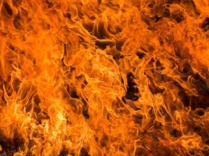 Fierce fire broke out in the society of Dwarka Subcity, the entire flat burnt to ashes.  85 year old man burnt alive. Delhi Fire News: द्वारका सबसिटी की सोसायटी में लगी भीषण आग, पूरा फ्लैट जलकर खाक, 85 साल के बुजुर्ग जिंदा जले
